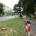 zdjęcie nr 16
