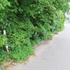 zdjęcie nr 17