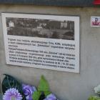 zdjęcie nr 14