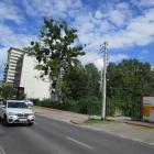 zdjęcie nr 13
