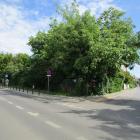 zdjęcie nr 21