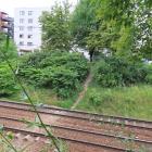 Fotka nr 5 z 14