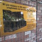 zdjęcie nr 21