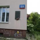 Fotka nr 1 z 8