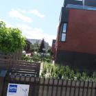 zdjęcie nr 41