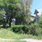 zdjęcie nr 48