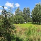 zdjęcie nr 53