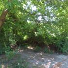 zdjęcie nr 58