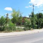 zdjęcie nr 84