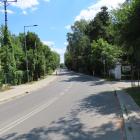 zdjęcie nr 86