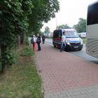 Fotka nr 4 z 373
