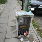 zdjęcie nr 7