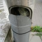 zdjęcie nr 11