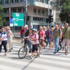 zdjęcie nr 80