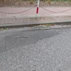 zdjęcie nr 13
