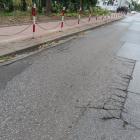 zdjęcie nr 14