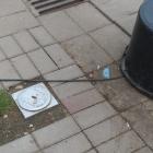 zdjęcie nr 7