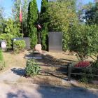 zdjęcie nr 31