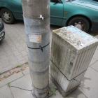 zdjęcie nr 7