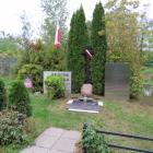 zdjęcie nr 8