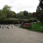 zdjęcie nr 7