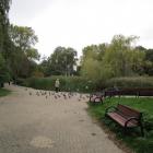 zdjęcie nr 8