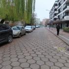 zdjęcie nr 8