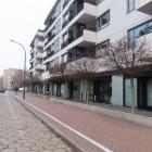 zdjęcie nr 11