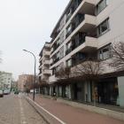 zdjęcie nr 12