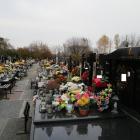 zdjęcie nr 11