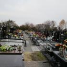 zdjęcie nr 13