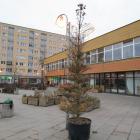 Fotka nr 2 z 5