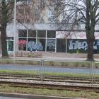 Fotka nr 1 z 12
