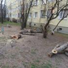 Fotka nr 4 z 13