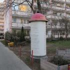 Fotka nr 5 z 12