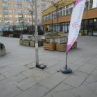 Fotka nr 3 z 11