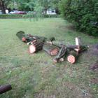 Fotka nr 3 z 15