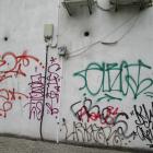 Fotka nr 5 z 22