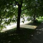 Fotka nr 5 z 10