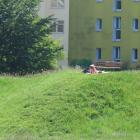 Fotka nr 2 z 14