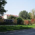 Fotka nr 1 z 12