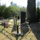 zdjęcie nr 7