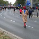 zdjęcie nr 33