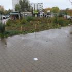 zdjęcie nr 12