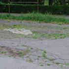 zdjęcie nr 10