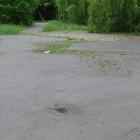 zdjęcie nr 13
