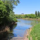 zdjęcie nr 43