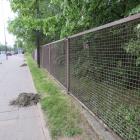 zdjęcie nr 11