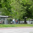 zdjęcie nr 8