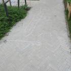 zdjęcie nr 31